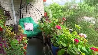 Цветочный релакс