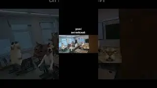 урок английского часть 2