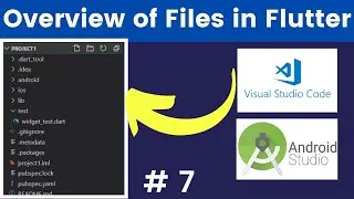 Overview of Files and Folder In Flutter Project - (Flutter Tutorials)