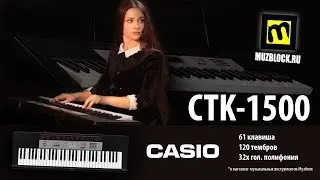 Синтезатор CASIO CTK-1500, обзор, звук и функции