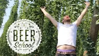 Beer school: what are hops? | The Craft Beer Channel