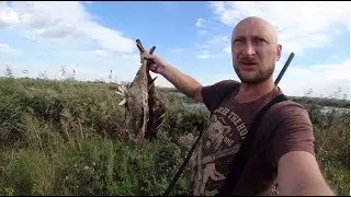 открытие охоты 2023/охота со спаниелем