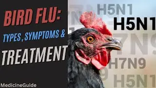 Bird flu: Types, Symptoms & Treatment #h5n1 #birdfluprevention #birdflutreatment