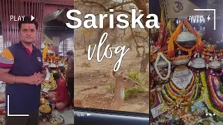 Delhi to Sariska Vlog | Pandupol Hanuman Mandir | Sariska Tiger Reserve | Hanuman Jayanti