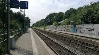 [Kurzvideo] Ein Flirt der Dritten Generation mit Mega Makro in Forsthaus. Großen Dank an den TF.