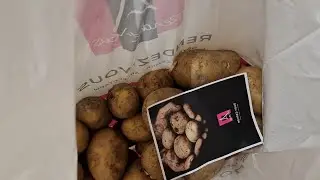 Зашли в магазин Рандеву за скидками и вышли с пакетом картошки)