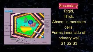 CELL UNIT OF LIFE  PART ONE