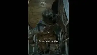 Variant Walker VS Daryl Dixon | S1E05 | The Walking Dead: Daryl Dixon 