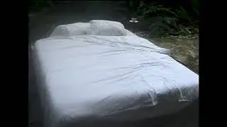 La expresión de lo íntimo
