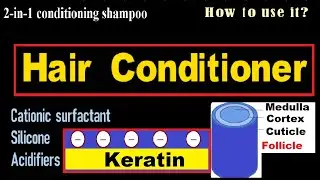 How does hair conditioner work | Sciencified