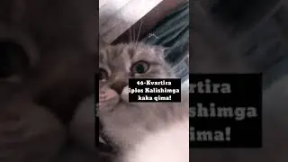 Najim bilan yozishish 😼😼
