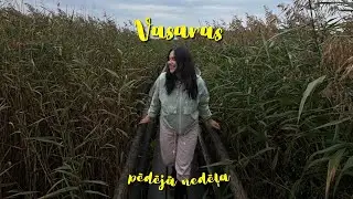 Vasaras pēdējā nedēļa – grāmatas, gleznošana, main character vibe | VLOGS