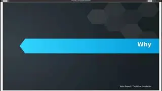 “Runtime Package Management: When, Why & How” by Frank Vasquez