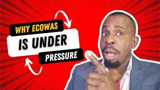 The Main Reason Why ECOWAS Is Under Pressure To Go To War With Niger