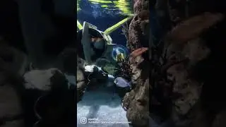 любовь мамы с сыном 