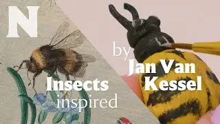 How to craft intricate clay insects inspired by Jan van Kessel