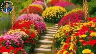 Ismail Shahinaj Valle Treshe 10/03/2025