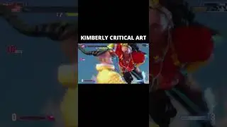 KIMBERLY CRITICAL ART - SF6
