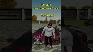 Я играю на RADMIR CRMP 15 Server.