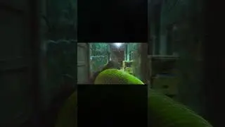 PRAPOR I EFT I Tarkov I Славянский прострел петуха 