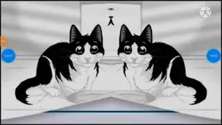 felix sensetions russia purina logo effects 1