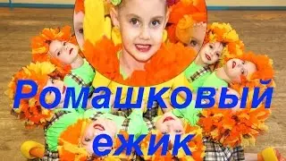 Ромашковый ежик. (Hedgehogs. Dance). 