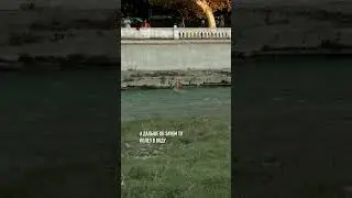 Случай в Сочи, Человек полез в реку в центре города
