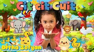 LAGU ANAK CIT CIT CUIT (BEBEK BERENANG ) DITHA SOFYAN, LAGU ANAK TERPOPULER VIRAL 2024