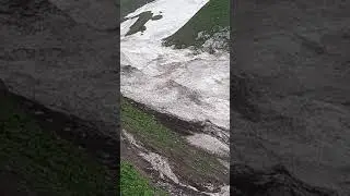 Дараи Камароб  хирса бинед дам бгиред!💯💥💣🐻🐻🐻🐻