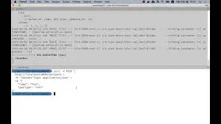 API first development - Client