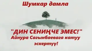 Айнура Сагынбаевага! эскертүү! Устаз Шумкар