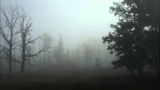 Maggie Björklund - Fro Fro Heart
