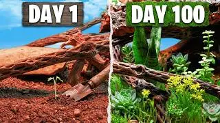 Simulating a Desert Oasis for 100 Days