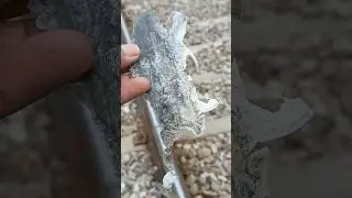 Train Vs Plastic | Train Vs Tape #challenge#doryrail#railtrack#traintracks #railway #gujranwalaskill