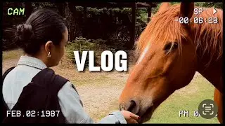 Vlog. Живой зубр и весенний квартирник