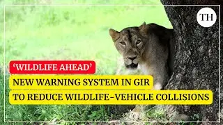 In Gir, drivers will be warned of wildlife crossing roads