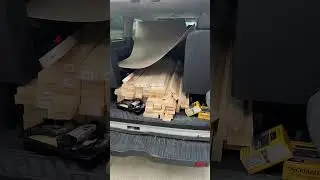 Want a Fish Room Or Multiple Tanks? I Can Help!