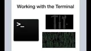 Introduction to the Terminal