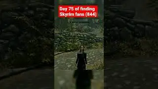 Are you a Skyrim fan ? 