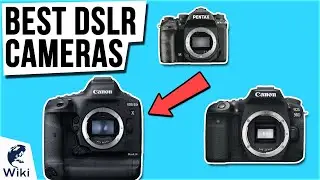 10 Best DSLR Cameras 2021