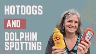 "Pembrokeshire Life Vlog: Hotdog Feast & Dolphin Sighting!"