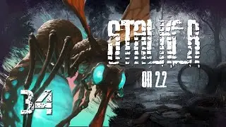 S.T.A.L.K.E.R ОП 2.2 # 34. Ловлю светлячков в Темной лощине. Прогулки по болотам с Котом.
