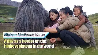 Vlog: A day as a herder on the highest plateau in the world