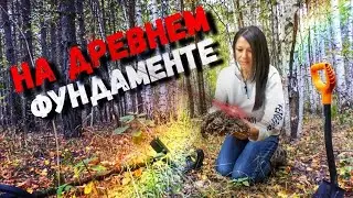 ЧТО ТВОРИТСЯ, ТАКОЕ ВАМ НЕ ПОКАЖУТ ПО ТЕЛЕВИЗОРУ Поиск с металлоискателем в лесу