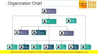 Organization Chart Ppt Powerpoint Presentation Gallery Ideas