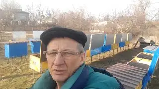 Бджоли перезимували | Кінець зимівлі бджіл