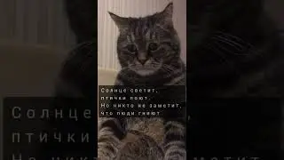 Слова над которыми надо задуматься. 