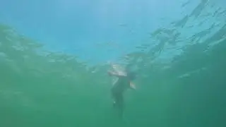 mama :D