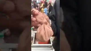 Tradisi sawer adat sunda kunyut kundang