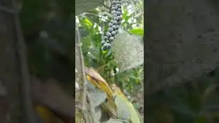 Ride with friends to Kerala